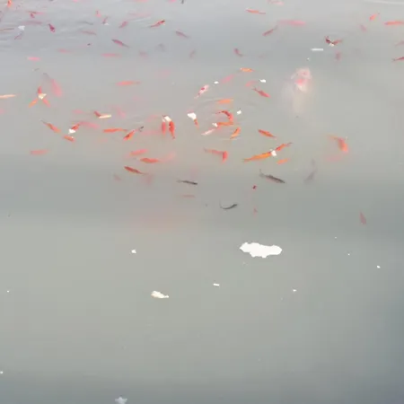 Pond 2ppl-private Hot Tub Holiday home