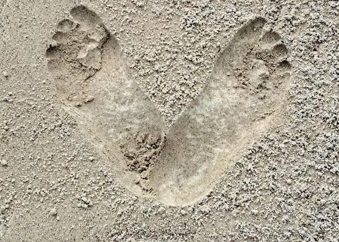 Nyaraló Pond 2ppl-private Hot Tub