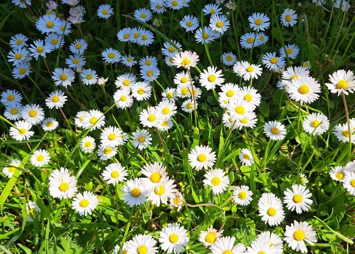 度假居 Pond 2ppl-private Hot Tub Errill