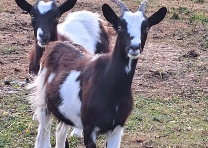 度假居 Pond 2ppl-private Hot Tub